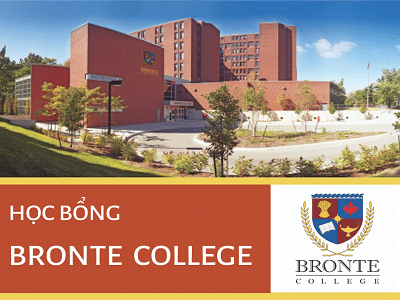Scholarship Bronte