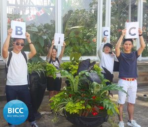 Thông tin Birmingham International Collegiate of Canada: Ngành học, học phí & đánh giá 4 BICC