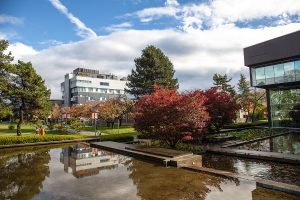 Thông tin Cao đẳng Langara College: Ngành học, học phí & đánh giá 5 fall 2016 37037506552 o