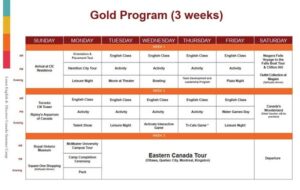 CIC Gold Program